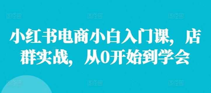 小红书电商小白入门课，店群实战，从0开始到学会