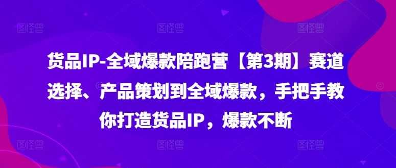 货品IP全域爆款陪跑营【第3期】赛道选择、产品策划到全域爆款，手把手教你打造货品IP，爆款不断