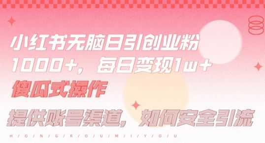小红书无脑每日引流创业粉500+，小白每天只花半小时，躺赚长尾收益【揭秘】