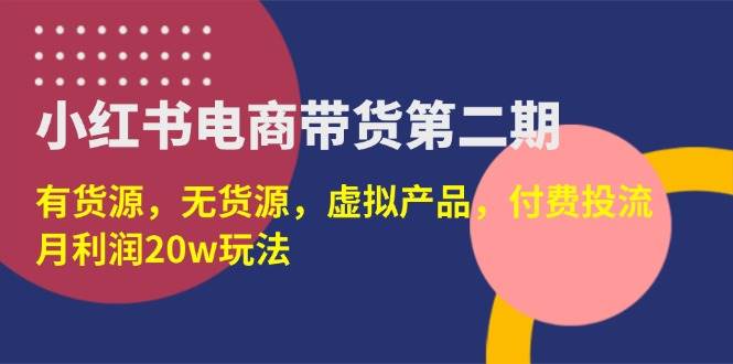 小红书电商带货第二期，有货源，无货源，虚拟产品，付费投流，月利润20w