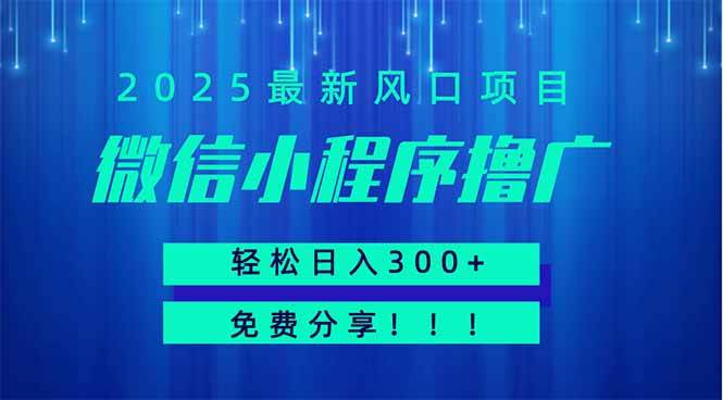 微信小程序撸广，最新风口项目，日入300+ 免费分享 可批量操作 小白可…