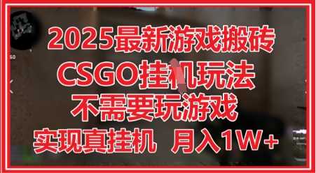 2025最新游戏搬砖,CSGO挂G,不需要玩游戏,实现真挂G,月入1W+【揭秘】