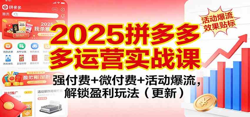 2025拼多多运营实战课：强付费+微付费+活动爆流，解锁盈利玩法