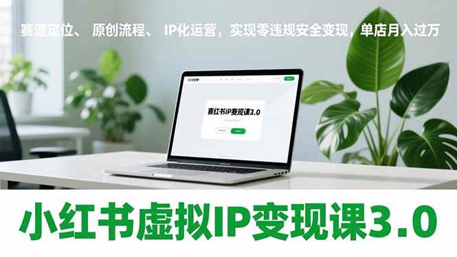 小红书虚拟IP变现课3.0，赛道定位、原创流程、IP化运营，实现零违规安全变现，单店月入过万