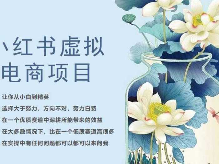 小红书虚拟电商从0到1小白到精英