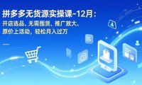 拼多多无货源实操课-12月：开店选品、无需囤货、推广放大、原价上活动，轻松月入过万