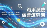 淘系系统运营进阶课2.0，流程规范、工具教学、实战诊断，进阶突破，打造高盈利店铺模型