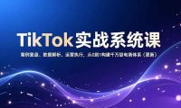 TikTok实战系统课，案例复盘、数据解析、运营执行，从0到1构建千万级电商体系