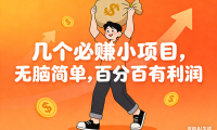 几个必赚小项目，无脑简单，百分百有利润，副业首选，日入200+