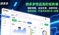 拼多多饰品高阶矩阵课，铺款策略、全站托管、店群布局，矩阵运营，打造月利润5万+店铺