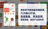 拼多多可复制盈利模型课，六大核心打法、实战复盘、灵活应用，模型清晰，稳定产出高利润