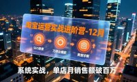 淘宝运营实战进阶营-12月：SEO搜索、万相台爆款、数据诊断，系统实战，单店月销售额破百万