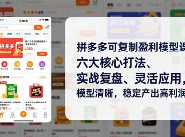 拼多多可复制盈利模型课，六大核心打法、实战复盘、灵活应用，模型清晰，稳定产出高利润