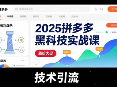 2025拼多多黑科技实战课，擎天柱玩法、爆流SKU、原价大促，技术引流，单店日销轻松破千单