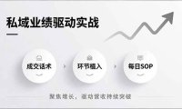 私域业绩驱动实战，成交话术、环节植入、每日SOP，聚焦增长，驱动营收持续突破
