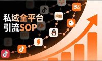 私域全平台引流SOP，抖音/快手/小红书/微信/QQ/B站/闲鱼等，技术合集，高效转化公域流量