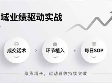 私域业绩驱动实战，成交话术、环节植入、每日SOP，聚焦增长，驱动营收持续突破
