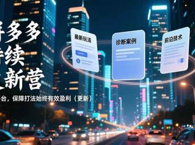 拼多多持续更新营，最新玩法、诊断案例、前沿技术，紧跟平台，保障打法始终有效盈利