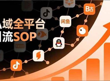 私域全平台引流SOP，抖音/快手/小红书/微信/QQ/B站/闲鱼等，技术合集，高效转化公域流量