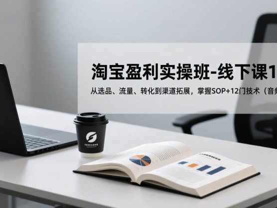 淘宝盈利实操班-线下课12月，从选品、流量、转化到渠道拓展，掌握SOP+12门技术